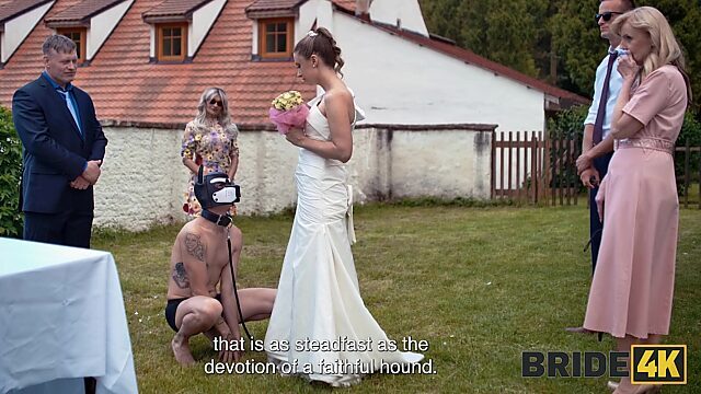 Порнозвезда: Dave Heard