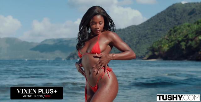 Сексуальная темнокожая цыпочка Николь Китт заводит приятное знакомство на пляже